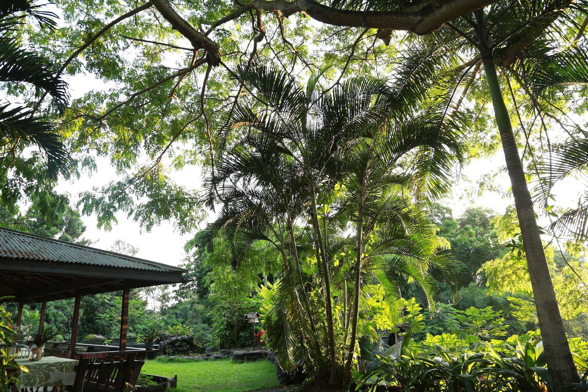 Hale Maluhia Country Inn Kailua-Kona Exterior photo